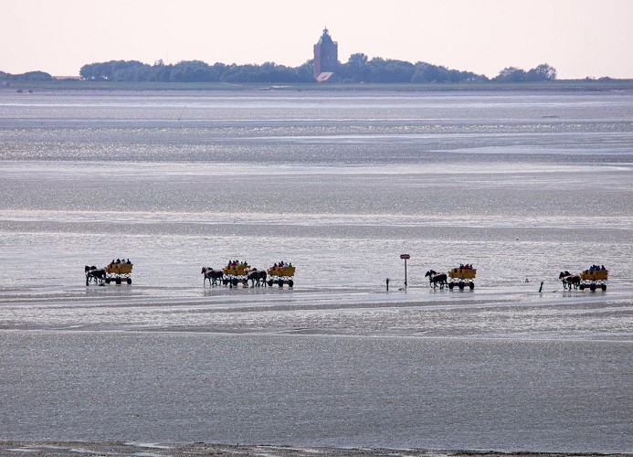 Seehütte Ferienwohnung 5,24 mit Meerblick