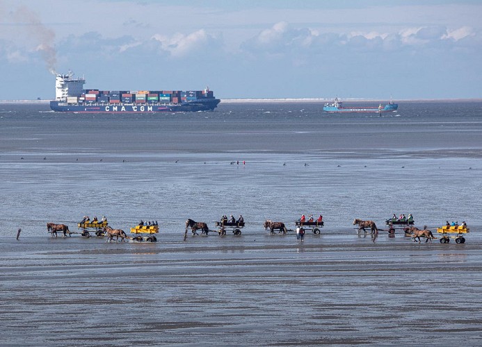 Seehütte Ferienwohnung 5,24 mit Meerblick