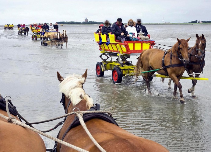 Seehütte Ferienwohnung 5,24 mit Meerblick