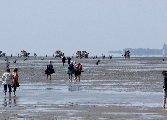 Seehütte Ferienwohnung 5,24 mit Meerblick